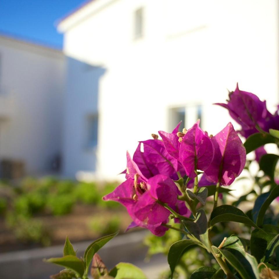 Résidence Le Clos Saint Paul LʼÎle-Rousse Extérieur photo